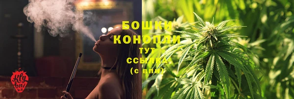 стаф Нефтекумск