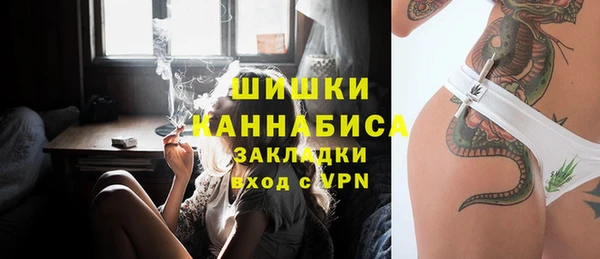 стаф Нея