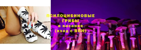 стаф Нея