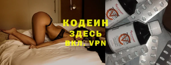 стаф Нея