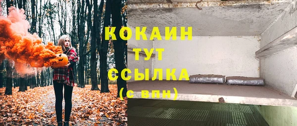 стаф Нея