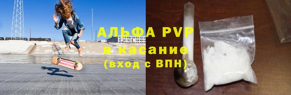 стаф Нея
