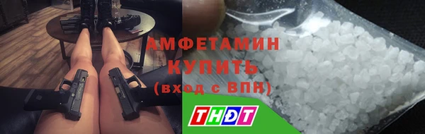 стаф Нея