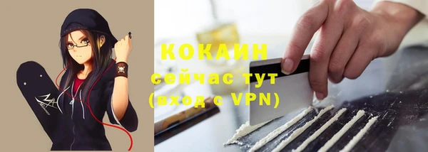 стаф Нея