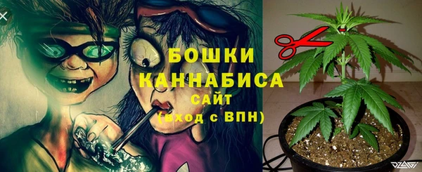 стаф Нефтекумск