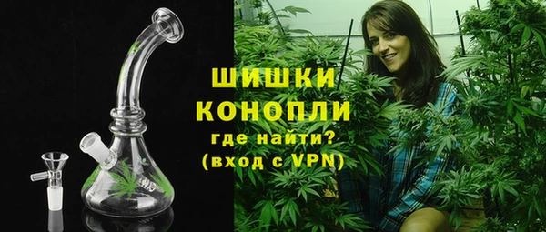 стаф Нея