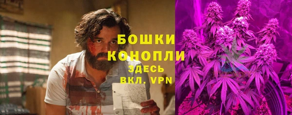 стаф Нея