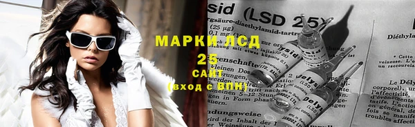 стаф Нея