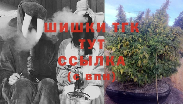 стаф Нея