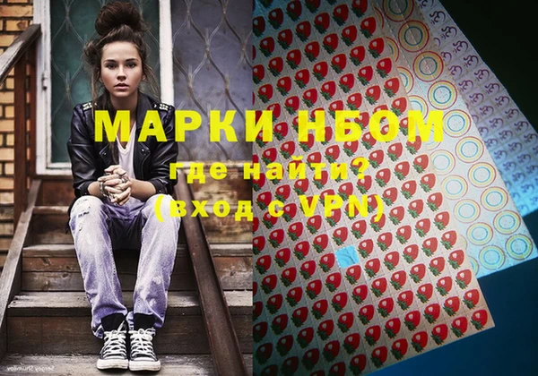 стаф Нея
